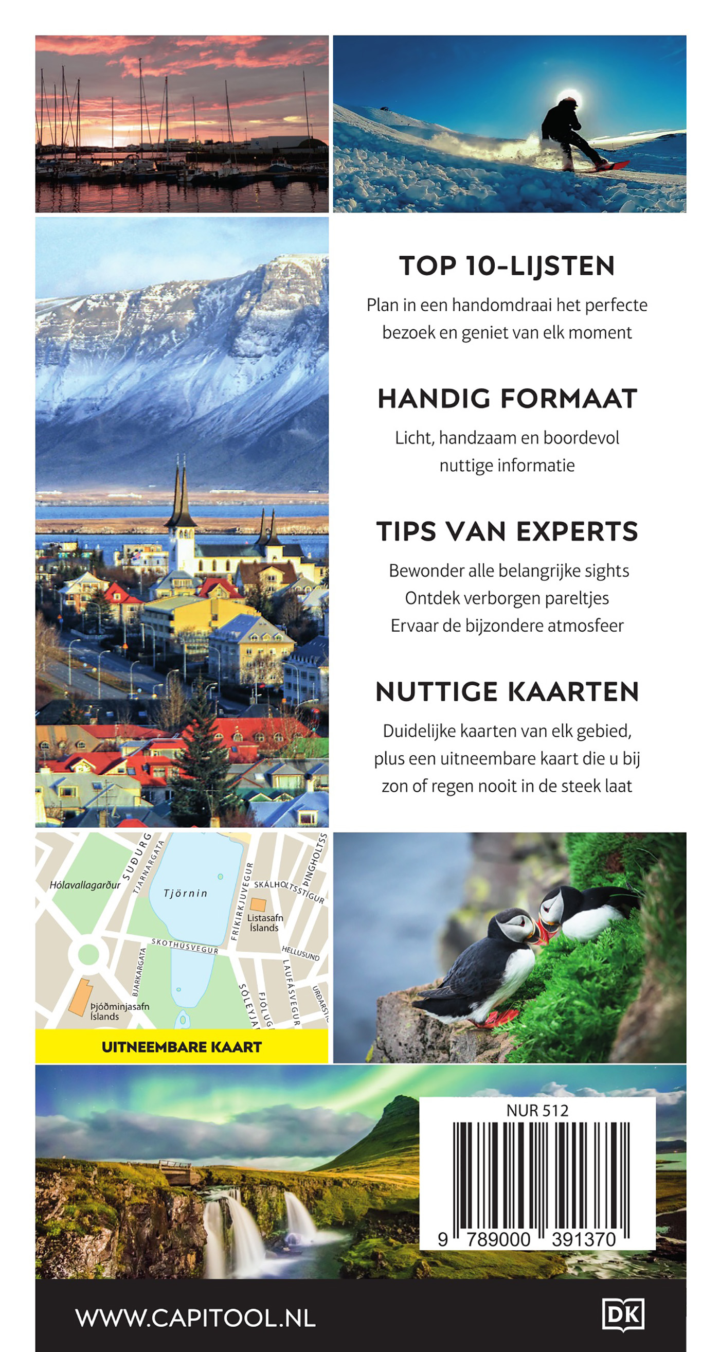 Achterkant van IJsland