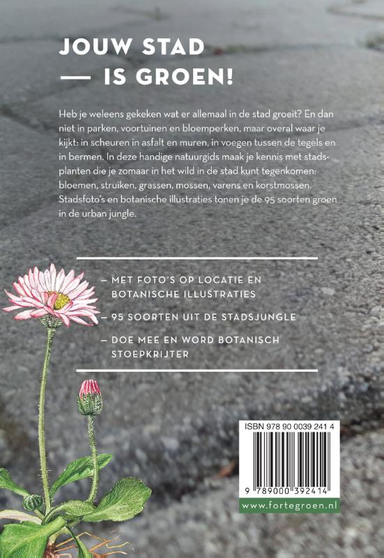 Achterkant van Stoepplantjes