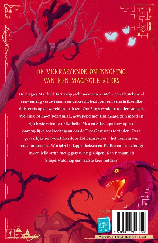 Achterkant van De verdwenen sleutel