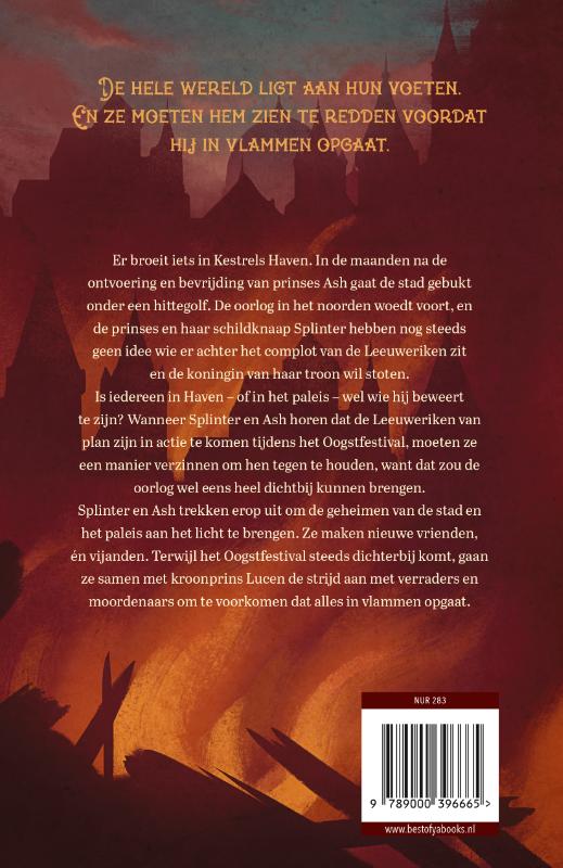 Achterkant van Een stad vol geheimen