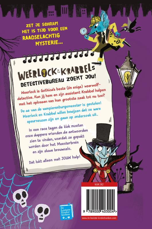Achterkant van Een mysterieus raadsel