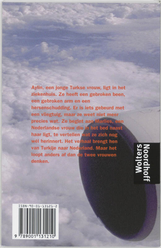 Achterkant van Het vliegtuig