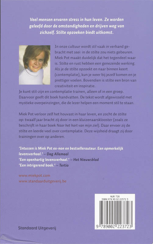 Achterkant van De grote stilte