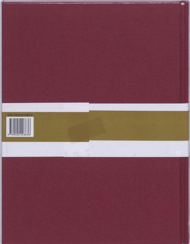 Achterkant van 301 De dartele draak