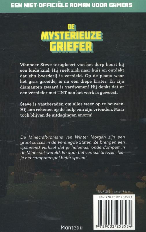 Achterkant van De mysterieuze griefer