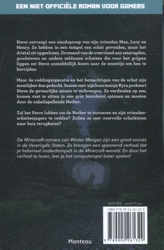 Achterkant van Schattenjagers in de problemen