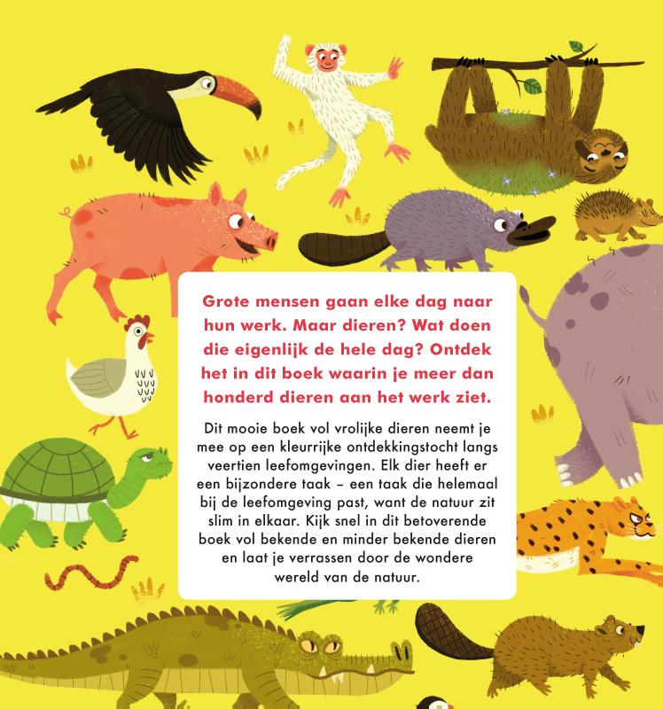 Achterkant van Wat dieren de hele dag doen