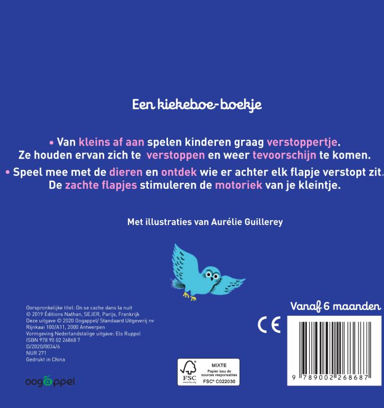 Achterkant van Kiekeboe in het donker