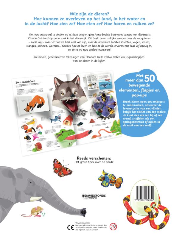 Achterkant van Dieren