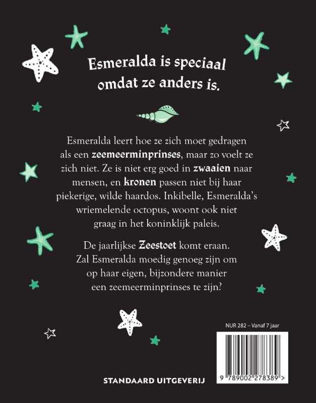 Achterkant van Esmeralda en de Zeestoet
