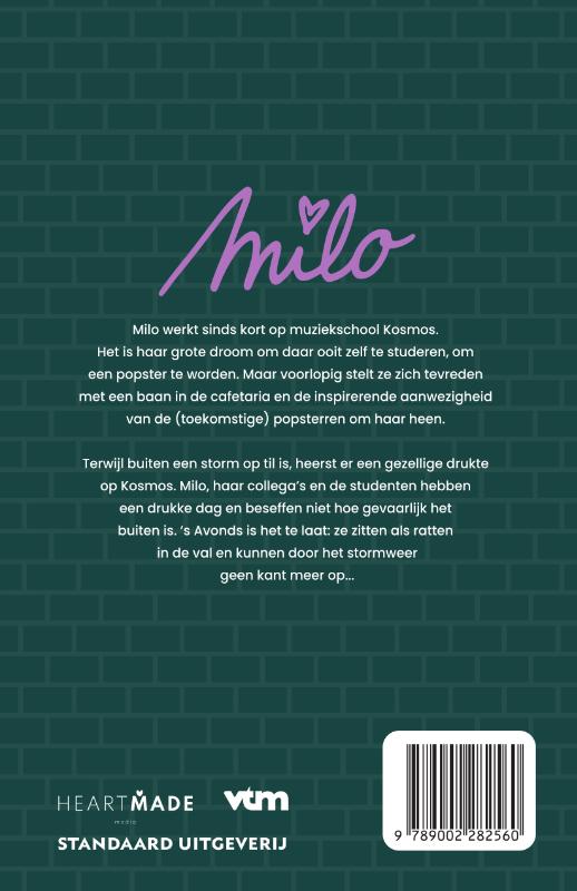 Achterkant van Milo - Het oog van de storm