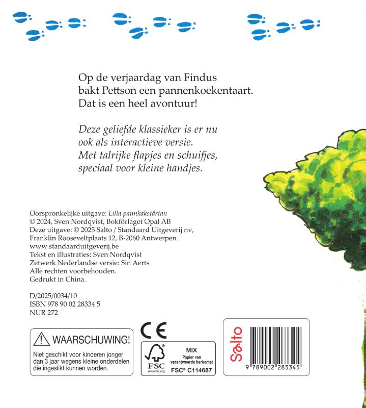 Achterkant van Pannenkoekentaart met flapjes