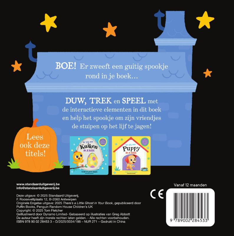 Achterkant van Er zit een spook in je boek