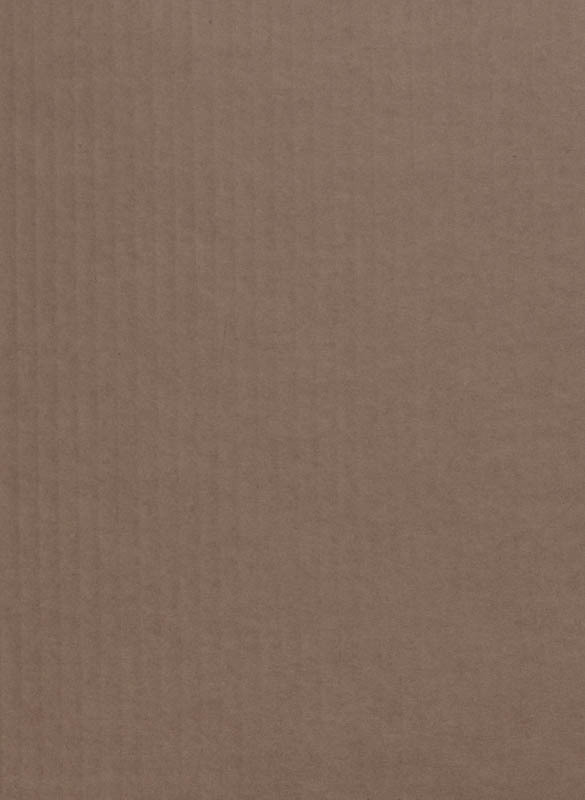 Achterkant van Taalverhaal Taal handpop Okko 1/2