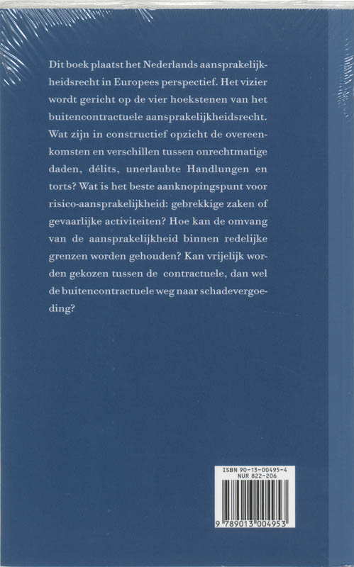 Achterkant van Onrechtmatige daden