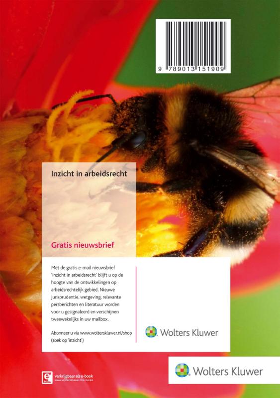 Achterkant van 2019
