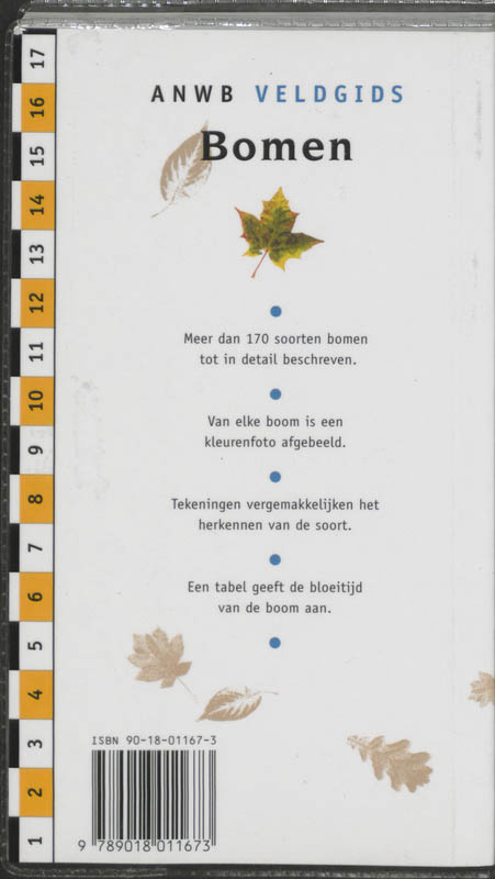 Achterkant van Bomen