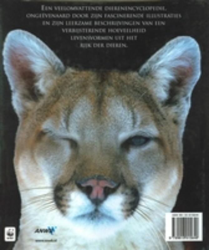 Achterkant van Dieren