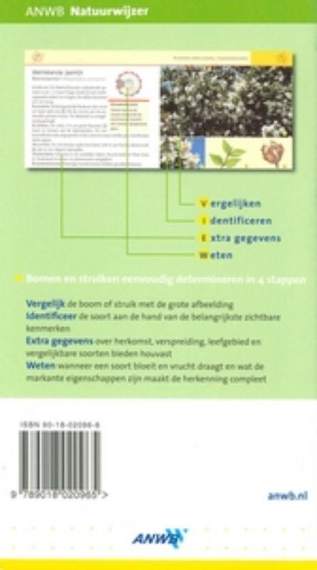 Achterkant van Bomen van Europa