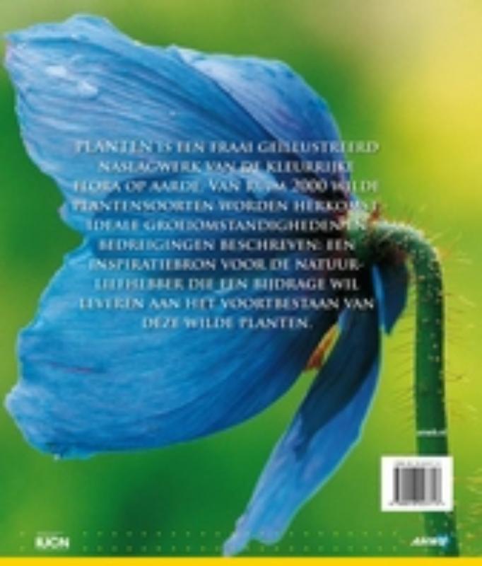 Achterkant van Planten