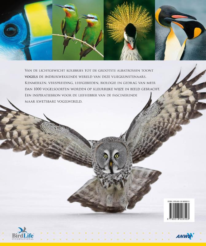 Achterkant van Vogels