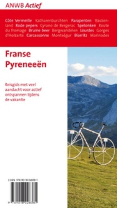 Achterkant van Franse Pyreneeën