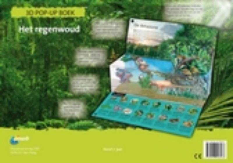 Achterkant van Het regenwoud