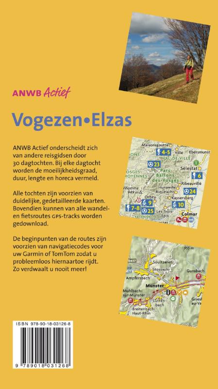 Achterkant van Vogezen, Elzas