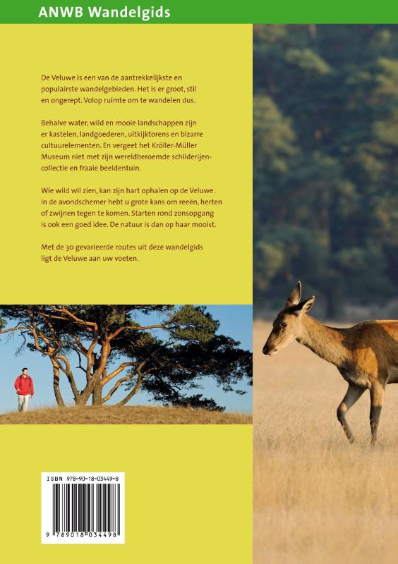 Achterkant van Veluwe