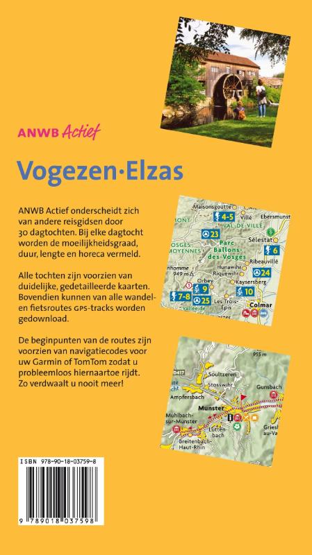 Achterkant van Vogezen-Elzas