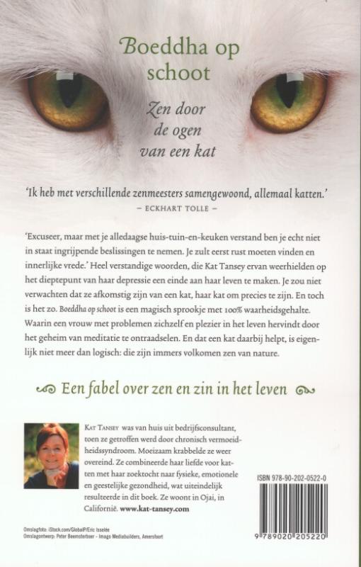 Achterkant van Boeddha op schoot
