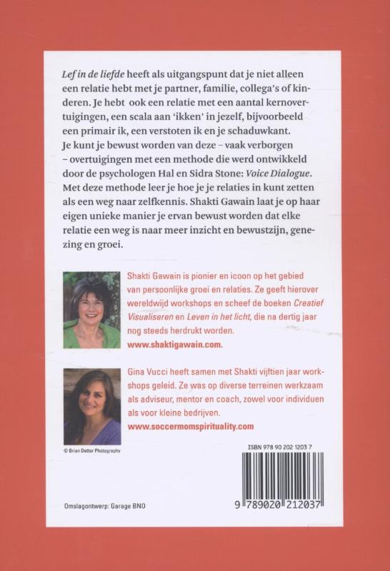 Achterkant van Lef in de liefde