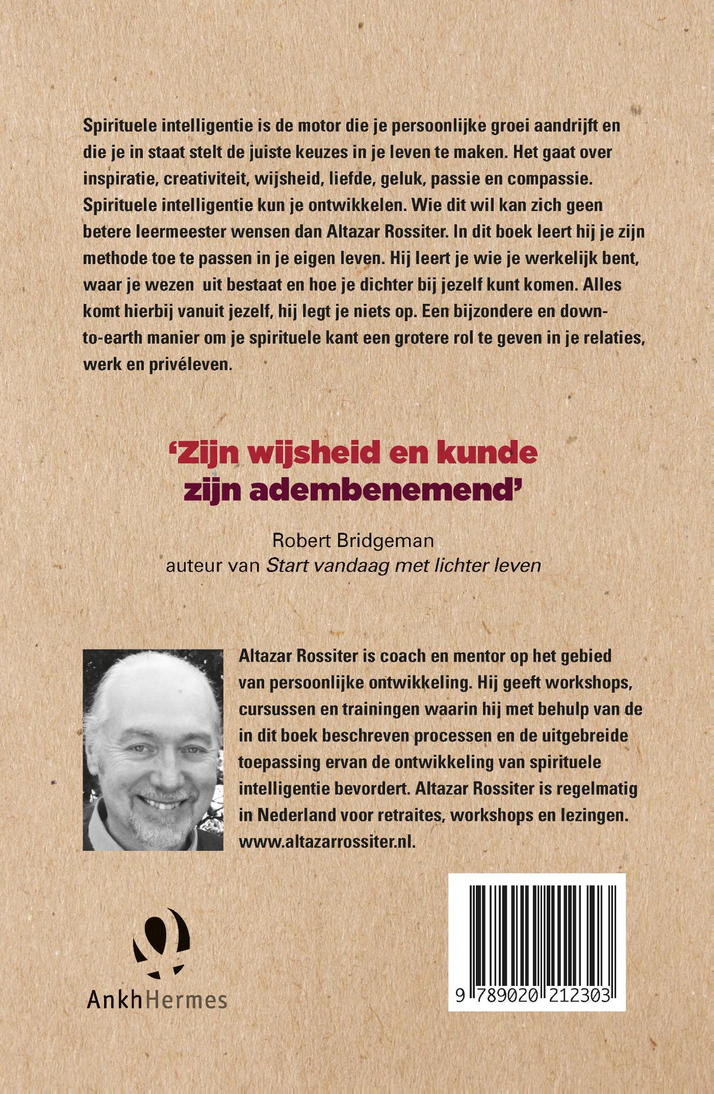 Achterkant van Spirituele intelligentie