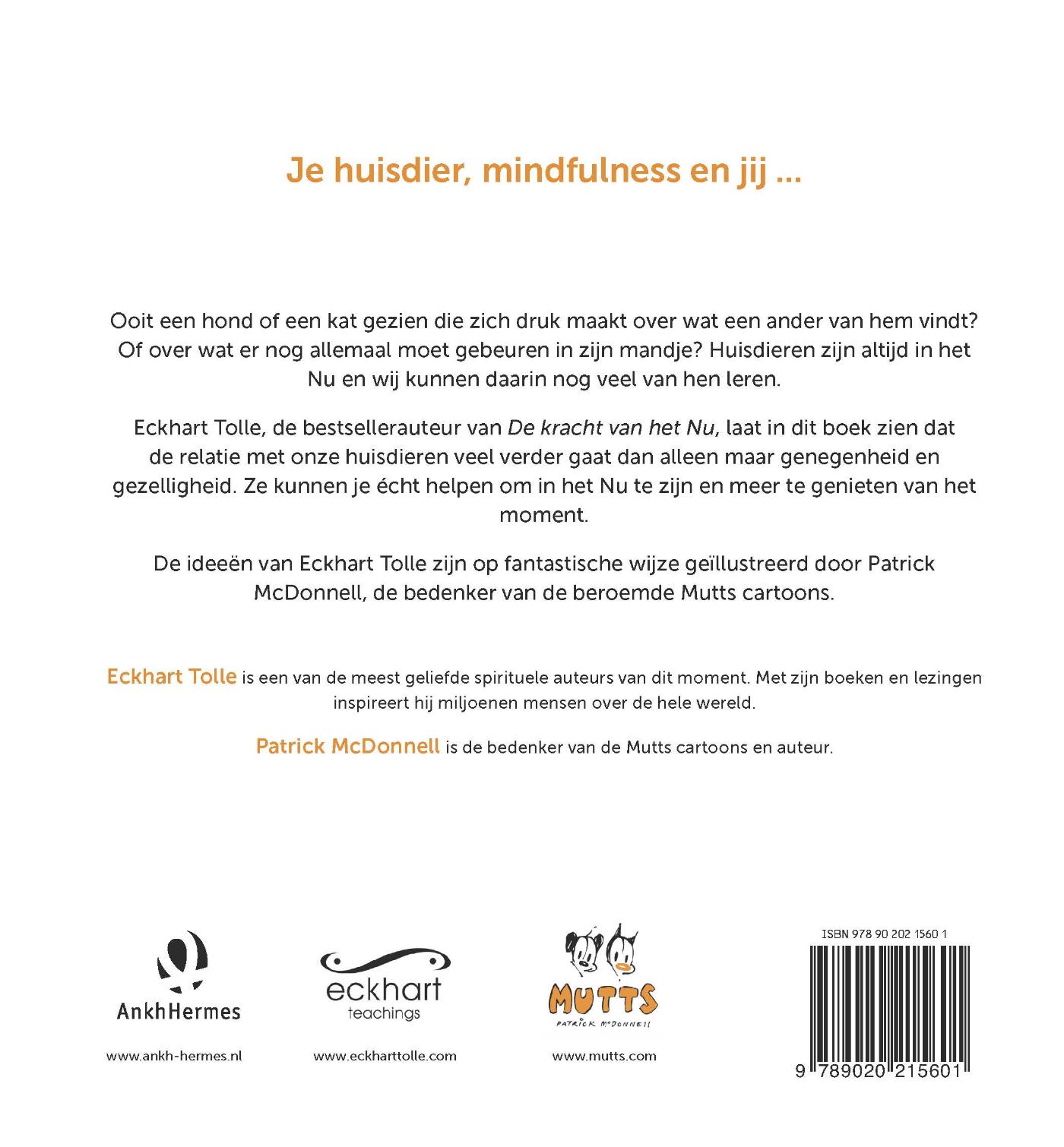 Achterkant van Altijd in het nu