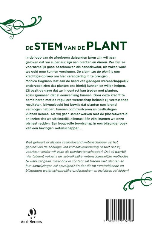Achterkant van De stem van de plant