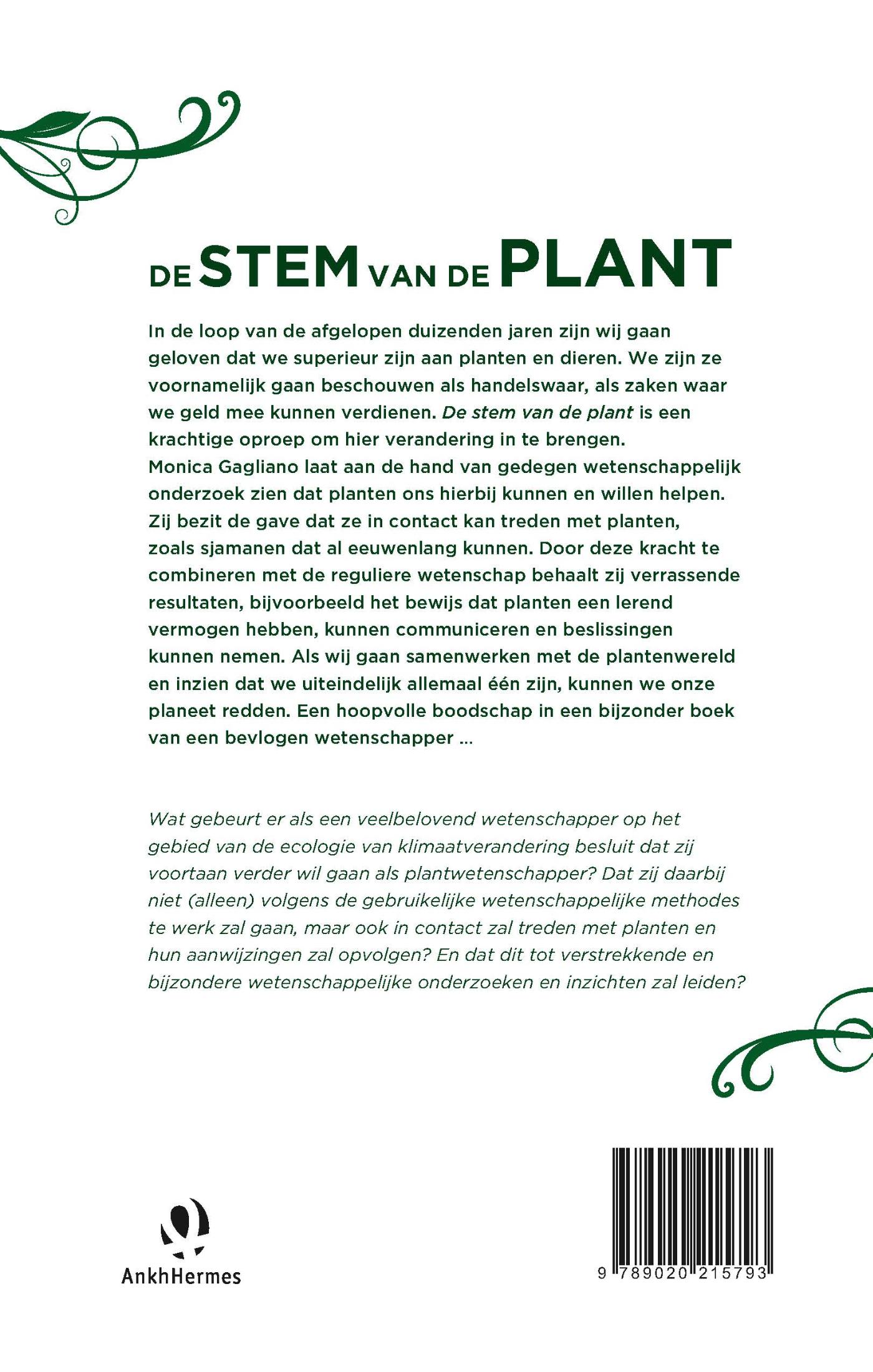 Achterkant van De stem van de plant