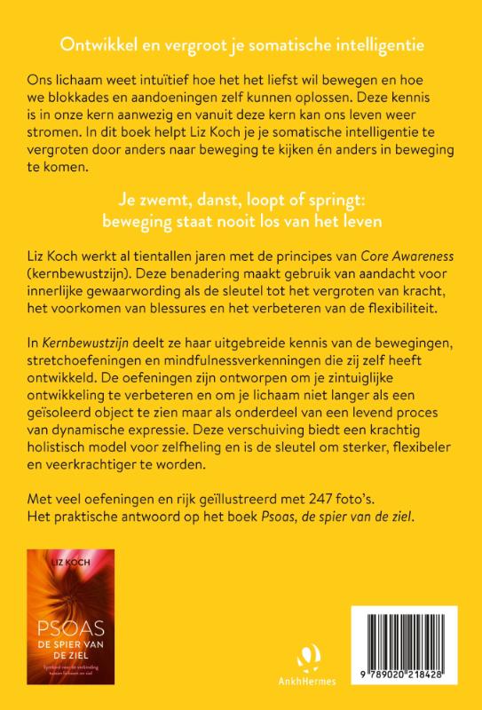 Achterkant van Kernbewustzijn