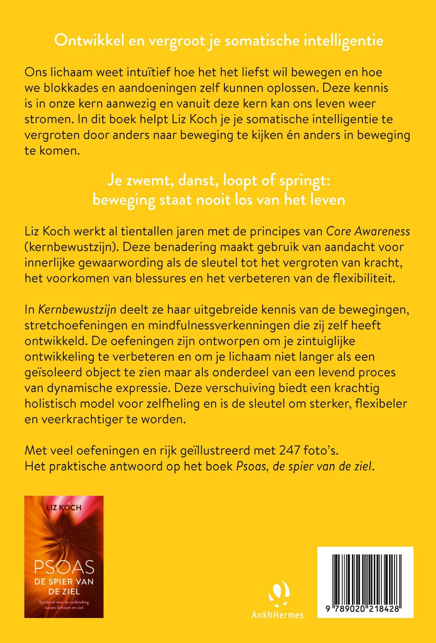 Achterkant van Kernbewustzijn