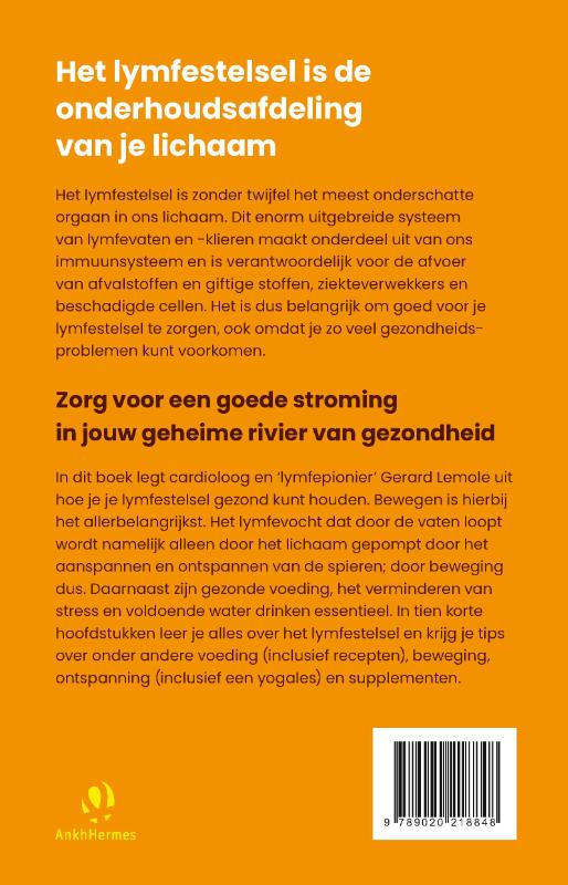 Achterkant van Lymfe