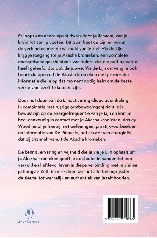 Achterkant van De lijn