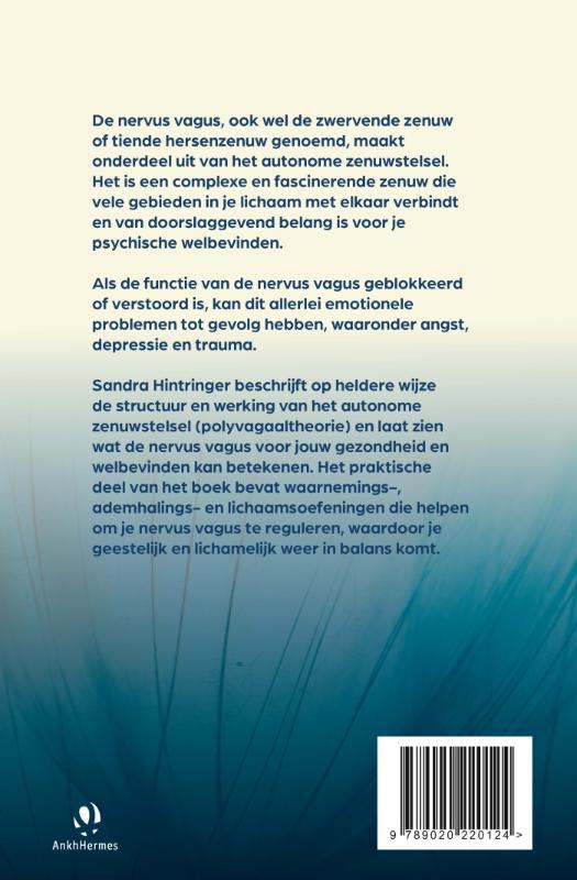 Achterkant van De nervus vagus, onze innerlijke therapeut