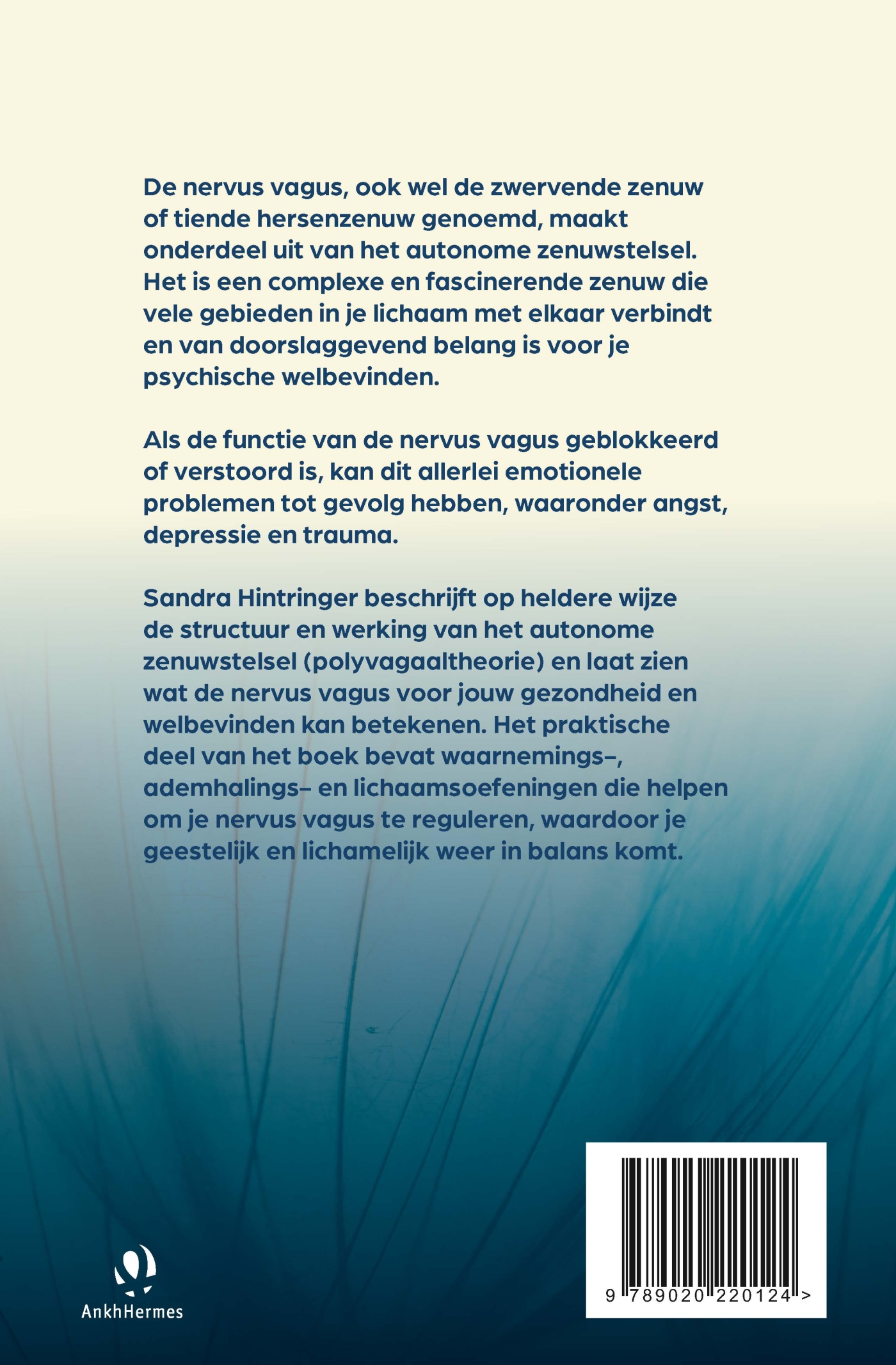 Achterkant van De nervus vagus, onze innerlijke therapeut