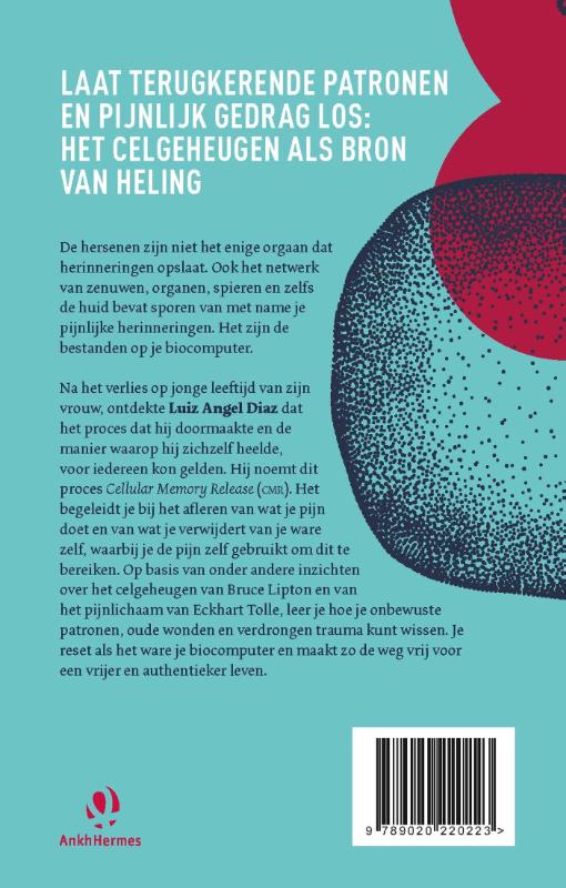 Achterkant van Het celgeheugen