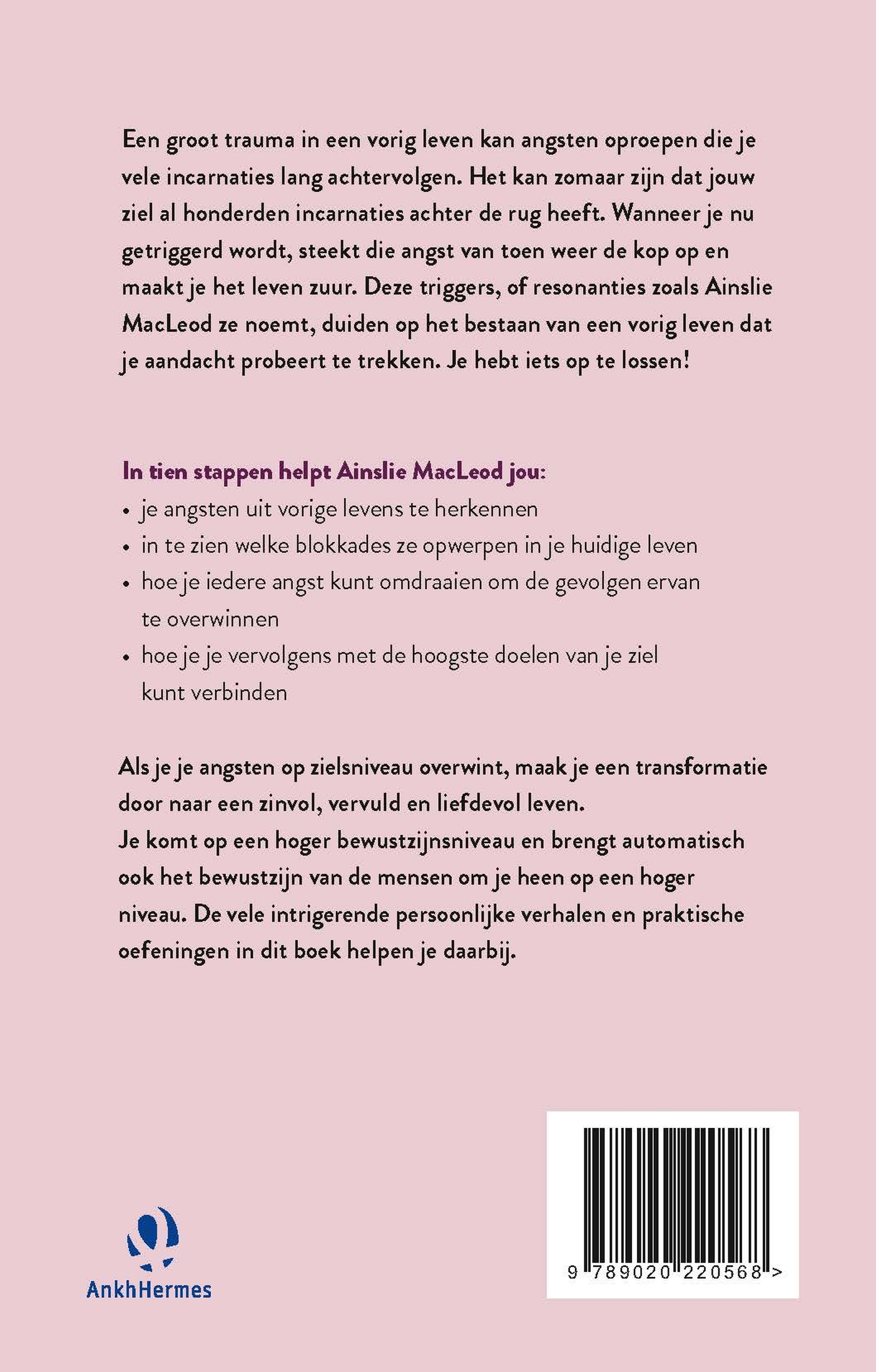 Achterkant van Overwin je angsten uit vorige levens