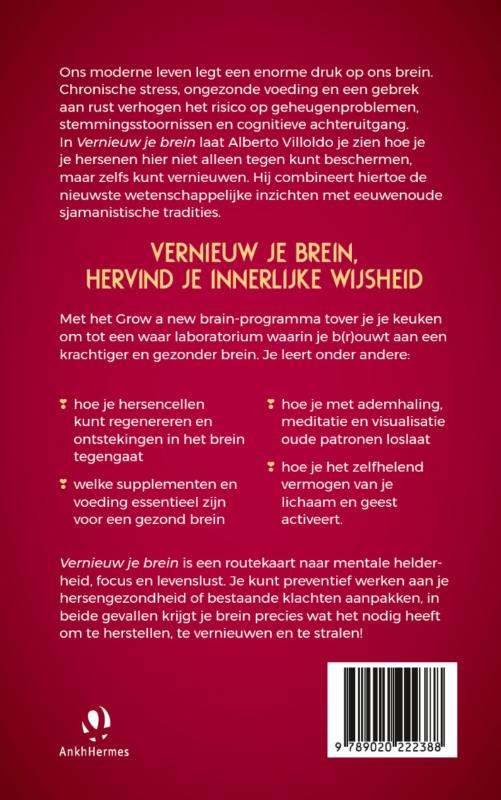 Achterkant van Vernieuw je brein