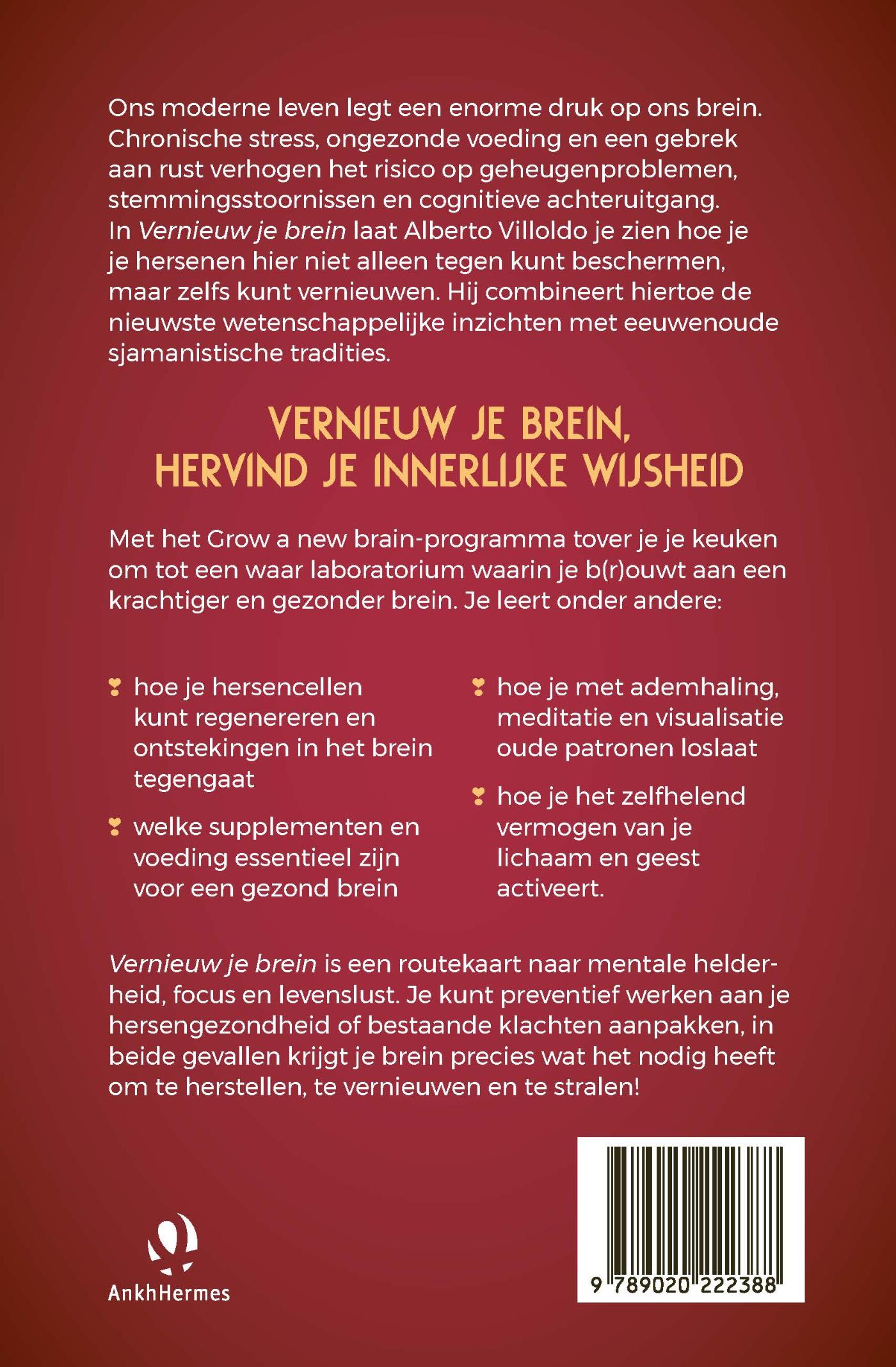Achterkant van Vernieuw je brein