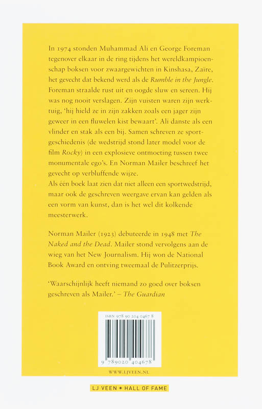 Achterkant van Het gevecht