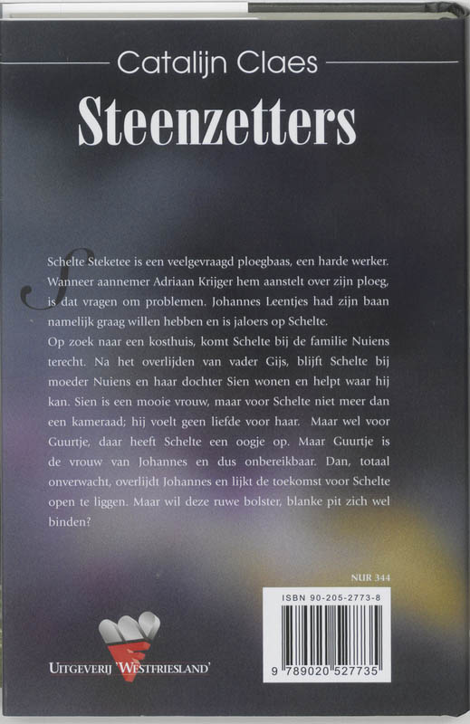 Achterkant van De Steenzetters