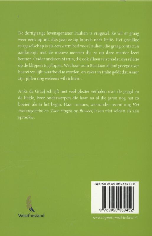 Achterkant van Een gelukkige reis