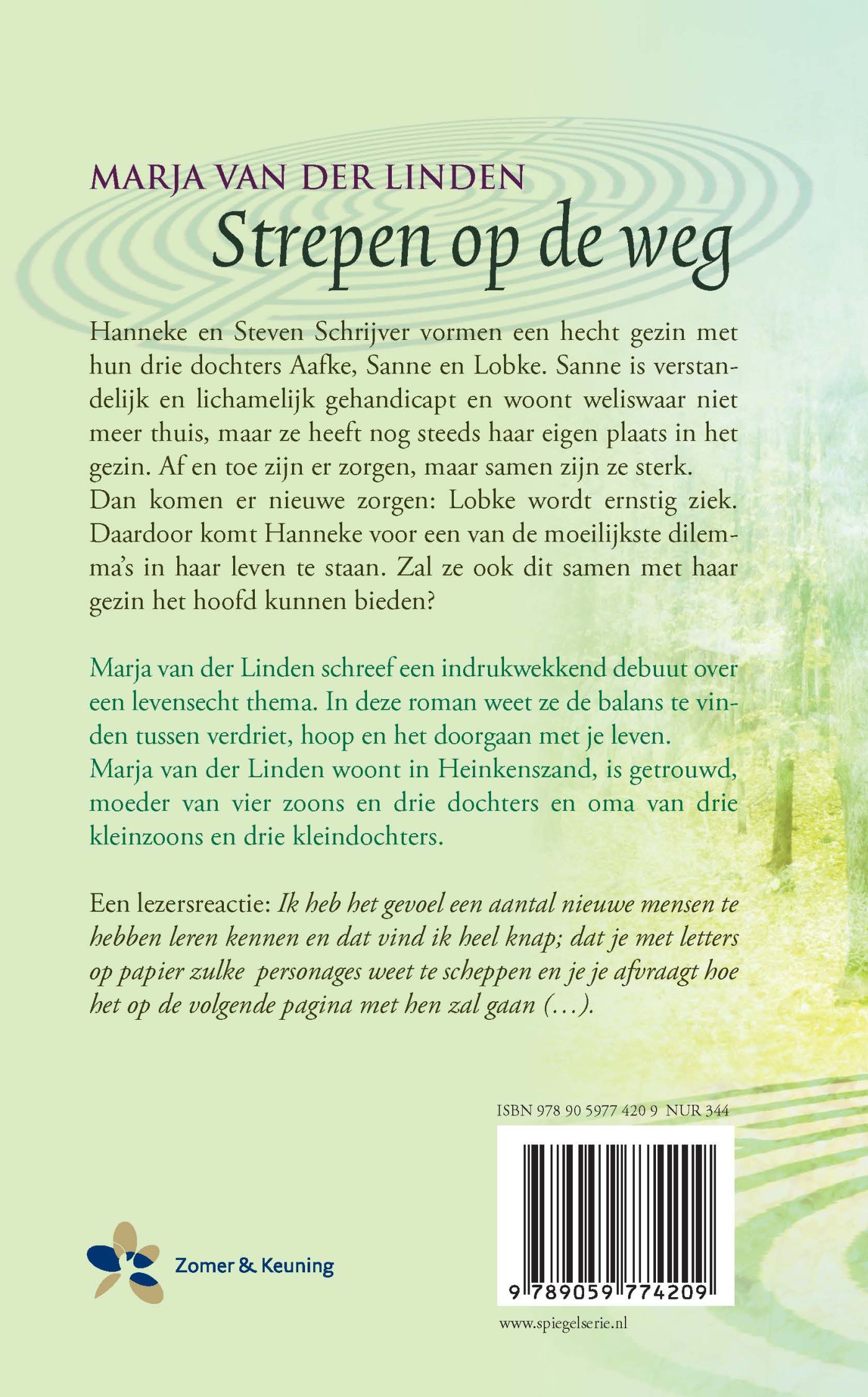 Achterkant van Strepen op de weg